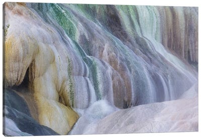 USA, Wyoming, Yellowstone National Park Mammoth Hot Springs Canvas Art Print - Yellowstone National Park Art
