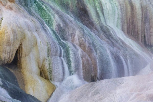 Wyoming: USA, Wyoming, Yellowstone National Park Mammoth Hot Springs by Darrell Gulin