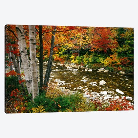 Autumn Landscape, Swift River, White Mountains, New Hampshire, USA Canvas Print #DGU47} by Darrell Gulin Canvas Artwork