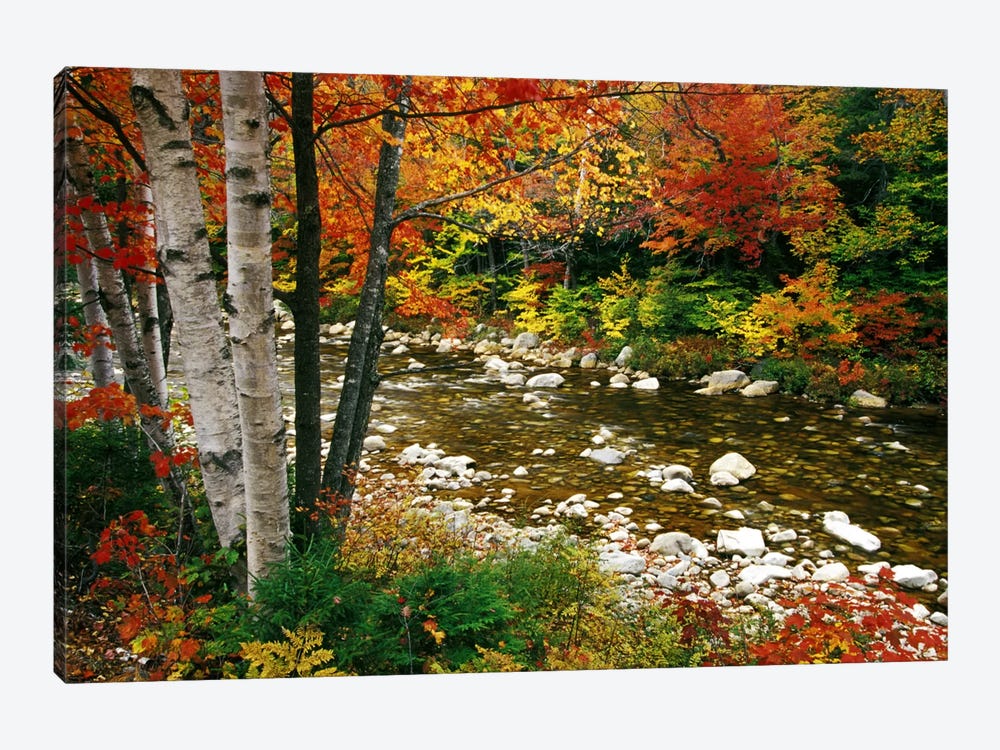 Autumn Landscape, Swift River, White Mountains, New Hampshire, USA by Darrell Gulin 1-piece Canvas Print