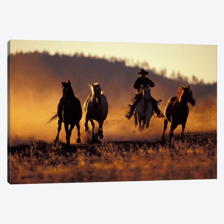 Horse Roundup, Ponderosa Ranch, Seneca, Grant County, Oregon, USA Canvas Print #DGU49} by Darrell Gulin Canvas Art Print