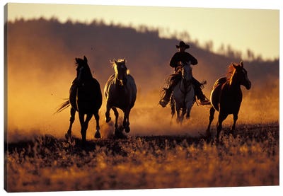 Horse Roundup, Ponderosa Ranch, Seneca, Grant County, Oregon, USA Canvas Art Print - Horseback Art