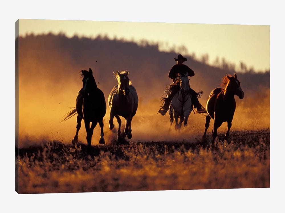 Horse Roundup, Ponderosa Ranch, Seneca, Grant County, Oregon, USA by Darrell Gulin 1-piece Canvas Print