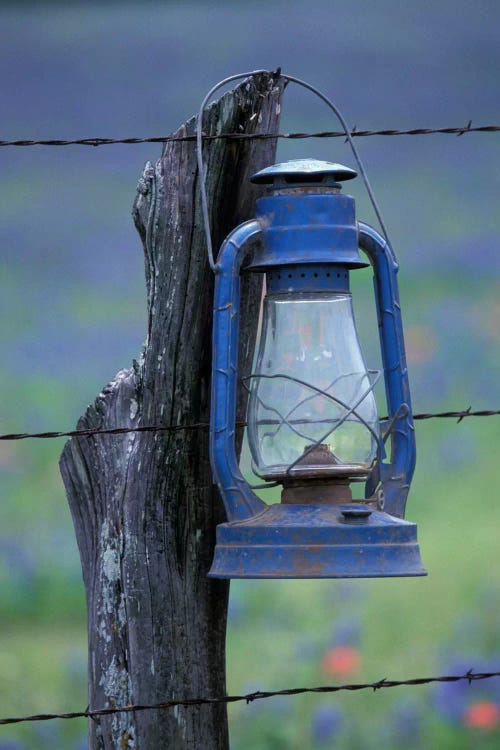 Blue Lantern Hanging On A Barbed Wire Fence Post, Lytle, Texas, USA