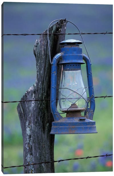 Blue Lantern Hanging On A Barbed Wire Fence Post, Lytle, Texas, USA Canvas Art Print - Darrell Gulin