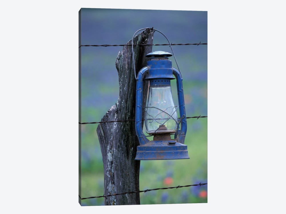 Blue Lantern Hanging On A Barbed Wire Fence Post, Lytle, Texas, USA by Darrell Gulin 1-piece Canvas Wall Art