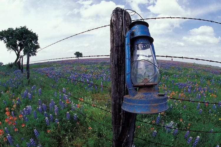 Wide-Angle View Of A Blue Lantern Hanging On A Barbed Wire Fence Post In A Wildflower Field, Lytle, Texas, USA by Darrell Gulin wall art