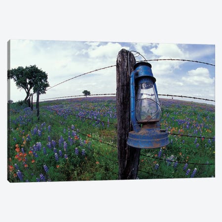 Wide-Angle View Of A Blue Lantern Hanging On A Barbed Wire Fence Post In A Wildflower Field, Lytle, Texas, USA Canvas Print #DGU52} by Darrell Gulin Canvas Artwork
