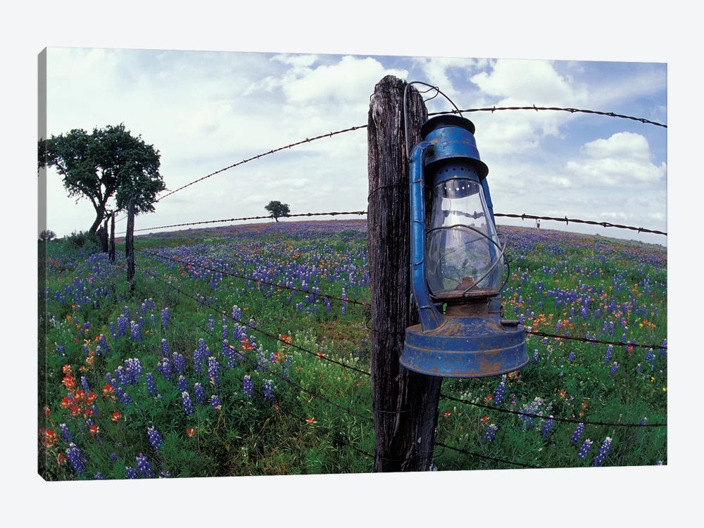 Wide-Angle View Of A Blue Lantern Hanging On A Barbed Wire Fence Post In A Wildflower Field, Lytle, Texas, USA by Darrell Gulin 1-piece Canvas Print