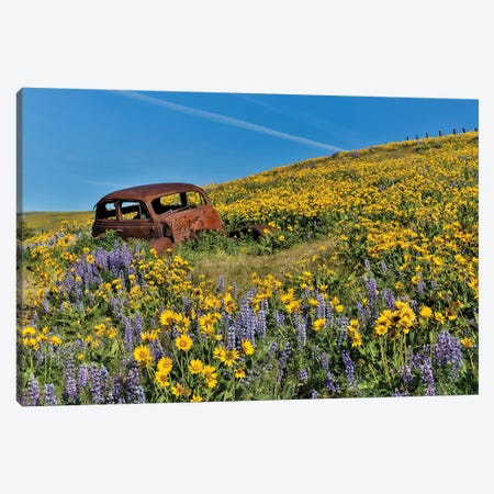 Abandoned car in springtime wildflowers, Dalles Mountain Ranch State Park, Washington State II Canvas Print #DGU58} by Darrell Gulin Canvas Artwork