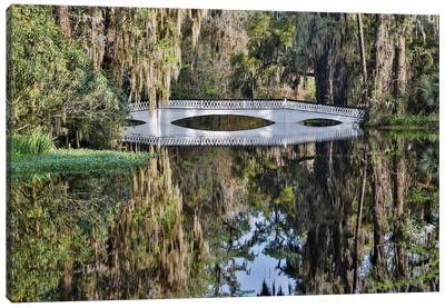 Bridge Crossing Pond With Springtime Azalea Blooming, Charleston, South Carolina Canvas Art Print - South Carolina Art