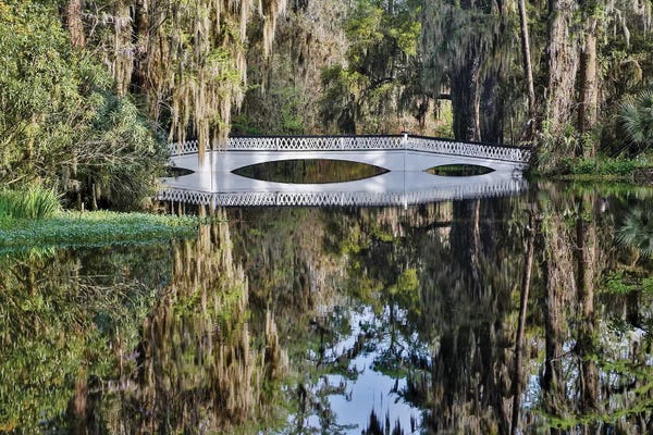 South Carolina: Bridge Crossing Pond With Springtime Azalea Blooming, Charleston, South Carolina by Darrell Gulin