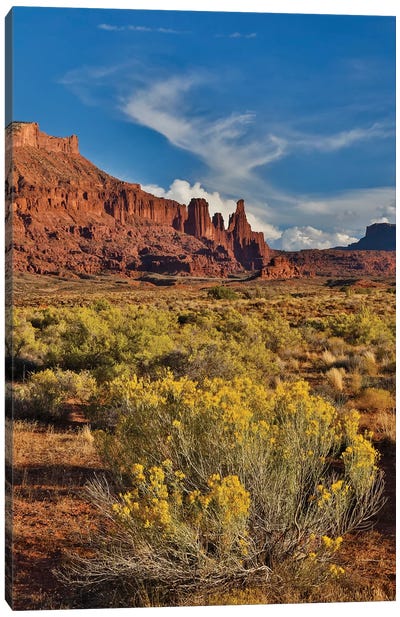 Fisher Towers, Utah in evening light Canvas Art Print