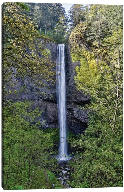 Latourell Falls Columbia River Gorge National Scenic Area, Oregon Canvas Art Print - Oregon Art