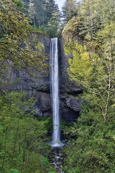 Darrell Gulin: Latourell Falls Columbia River Gorge National Scenic Area, Oregon by Darrell Gulin