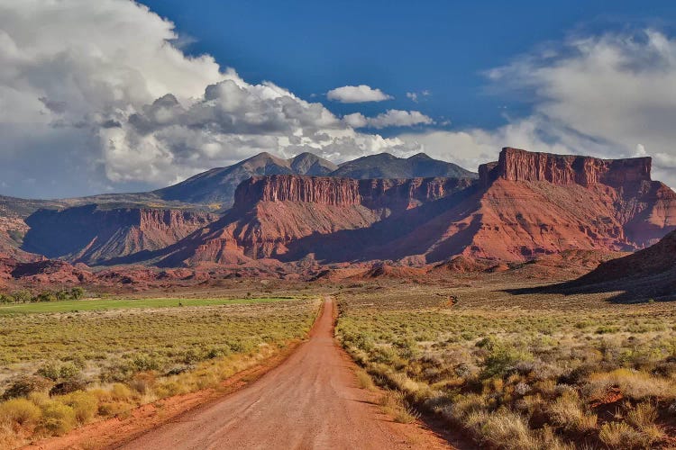 Straight dirt road leading into Professor Valley, Utah