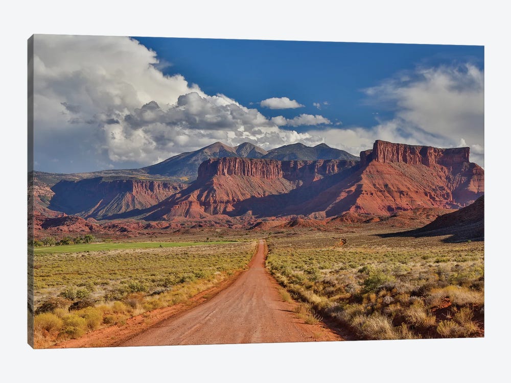 Straight dirt road leading into Professor Valley, Utah by Darrell Gulin 1-piece Art Print