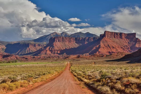Utah: Straight dirt road leading into Professor Valley, Utah by Darrell Gulin