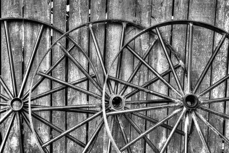 Wooden fence and old wagon wheels, Charleston, South Carolina