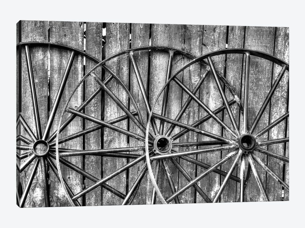Wooden fence and old wagon wheels, Charleston, South Carolina by Darrell Gulin 1-piece Art Print
