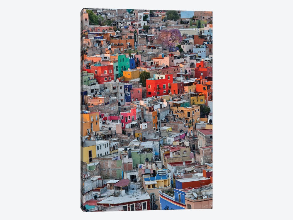 Guanajuato in Central Mexico. City overview in evening light with colorful buildings by Darrell Gulin 1-piece Canvas Wall Art