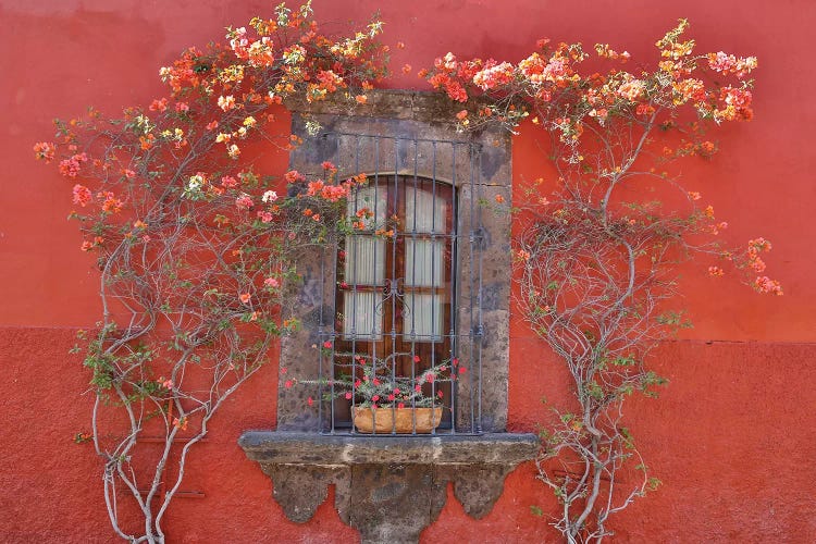 San Miguel De Allende, Mexico. Colorful buildings and windows