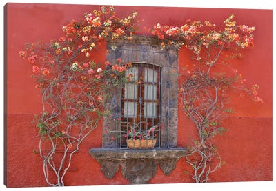 San Miguel De Allende, Mexico. Colorful buildings and windows Canvas Art Print - Window Art