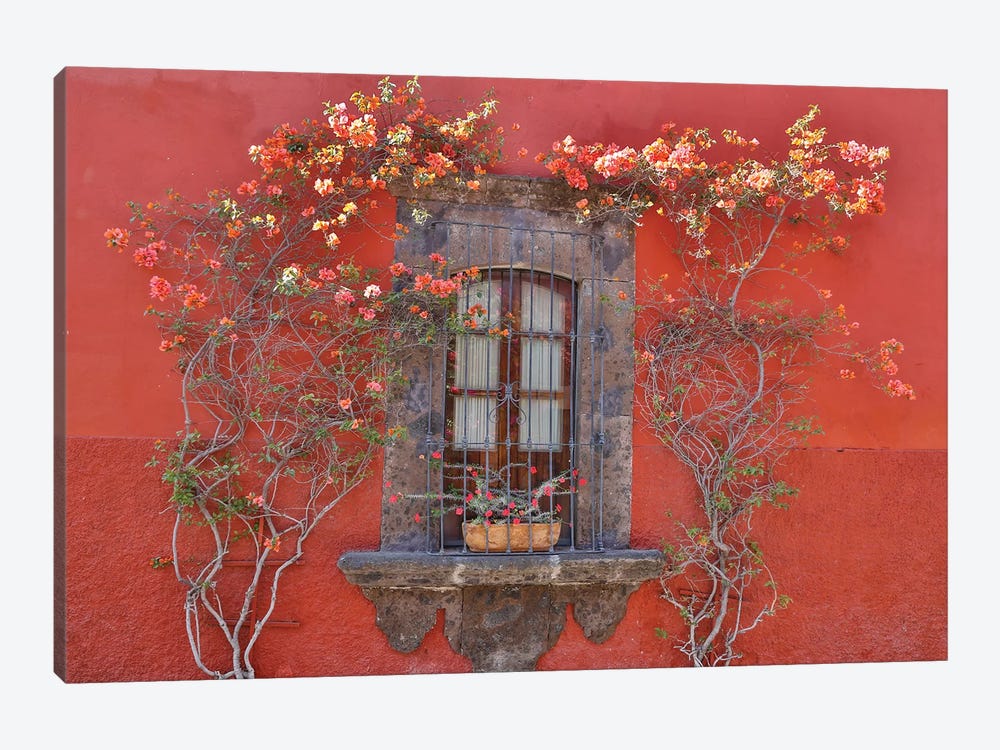 San Miguel De Allende, Mexico. Colorful buildings and windows by Darrell Gulin 1-piece Canvas Art