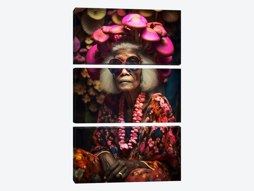 Retro Futurist African Grandma - Mushrooms V by Digital Wild Art 3-piece Canvas Art