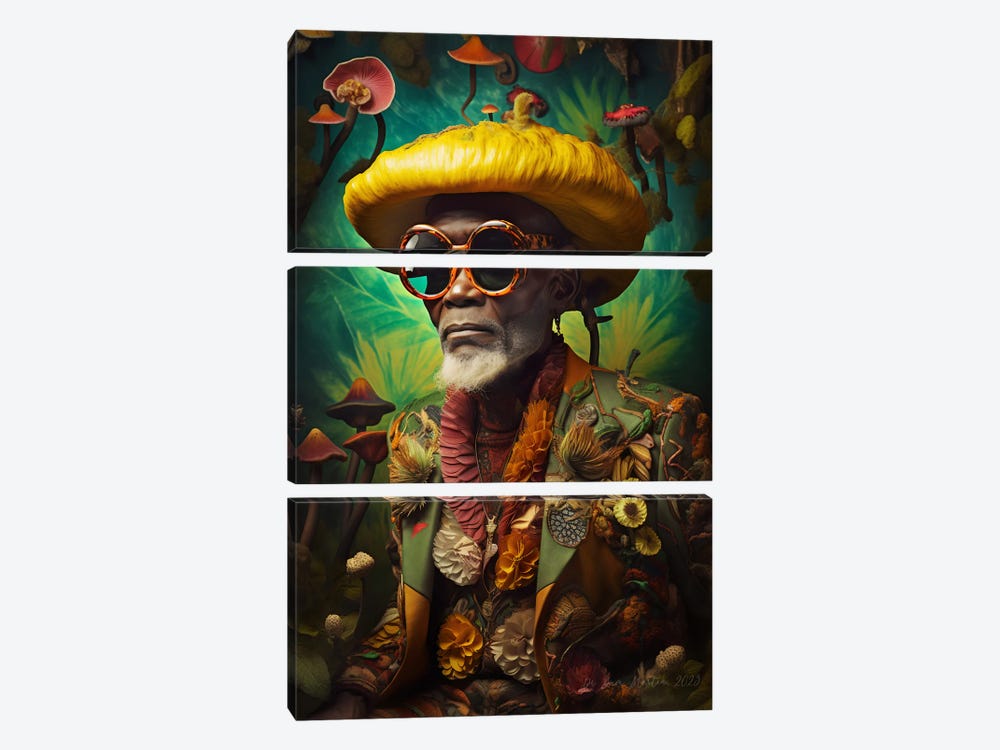 Retro Futurist African Grandpa - Mushrooms I by Digital Wild Art 3-piece Canvas Wall Art