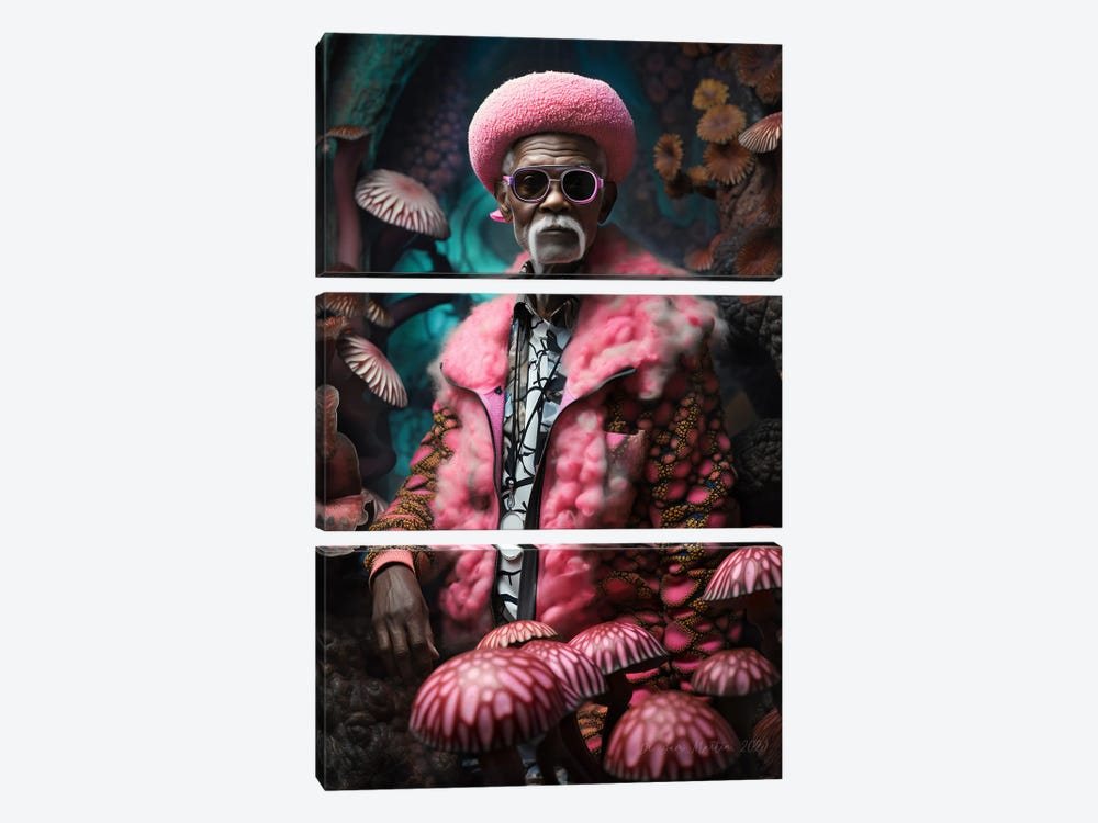 Retro Futurist African Grandpa - Mushrooms III by Digital Wild Art 3-piece Art Print
