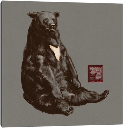 Lazy Sun Bear Canvas Art Print - Dingzhong Hu