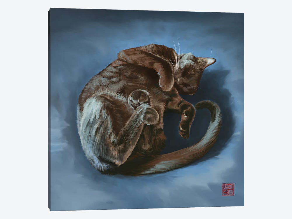 Curled And Comfy by Dingzhong Hu 1-piece Canvas Art Print