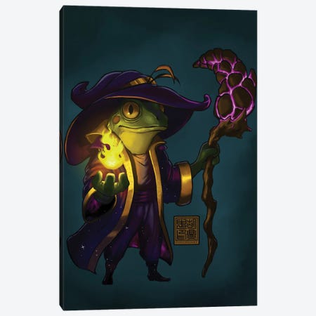 Wizard Frog Canvas Print #DGZ25} by Dingzhong Hu Canvas Print