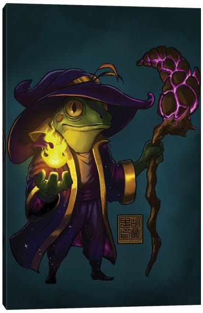 Wizard Frog Canvas Art Print - Wizards