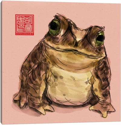Cute Toad Canvas Art Print - Dingzhong Hu