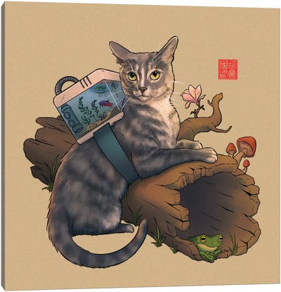 Adventure Cat Canvas Art Print - Frog Art
