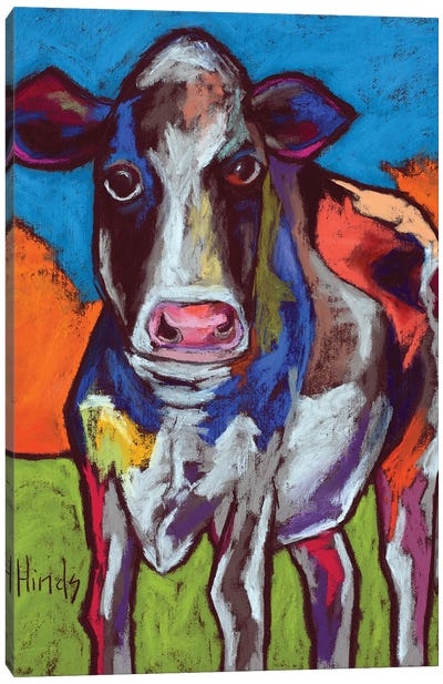 Cow Town Canvas Art Print - David Hinds