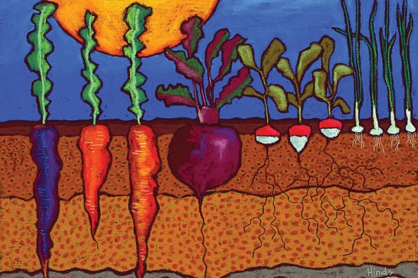 Vegetables: In The Ground by David Hinds