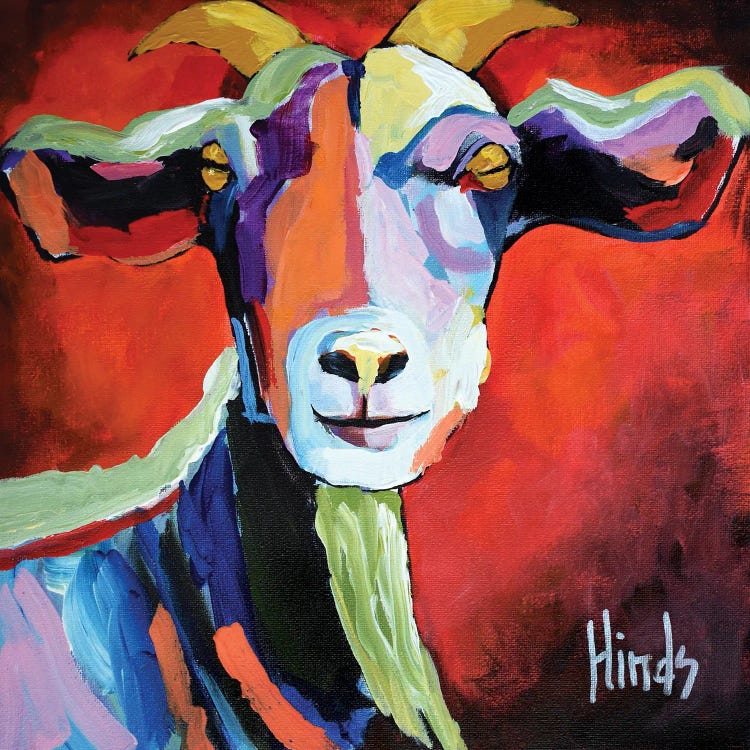 Portrait Of A Goat