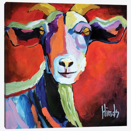 Portrait Of A Goat Canvas Print #DHD12} by David Hinds Canvas Art Print