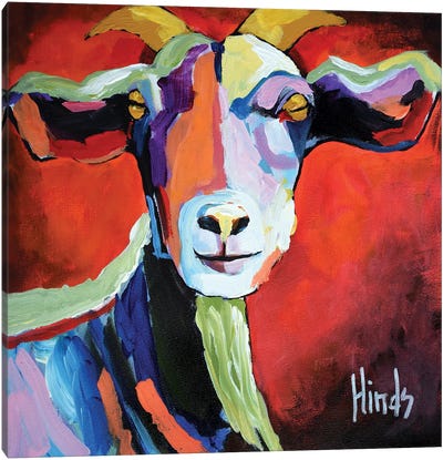 Portrait Of A Goat Canvas Art Print - All Things Matisse