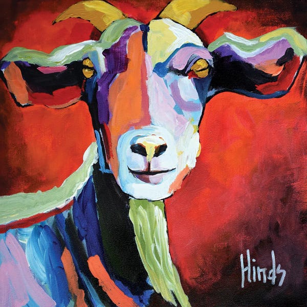 Goats: Portrait Of A Goat by David Hinds