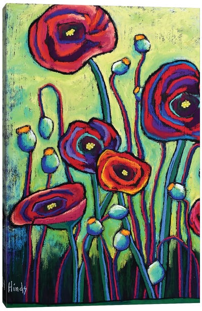 Poppies II Canvas Art Print - David Hinds
