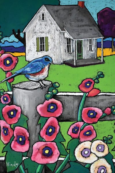 David Hinds: Mr Bluebird by David Hinds