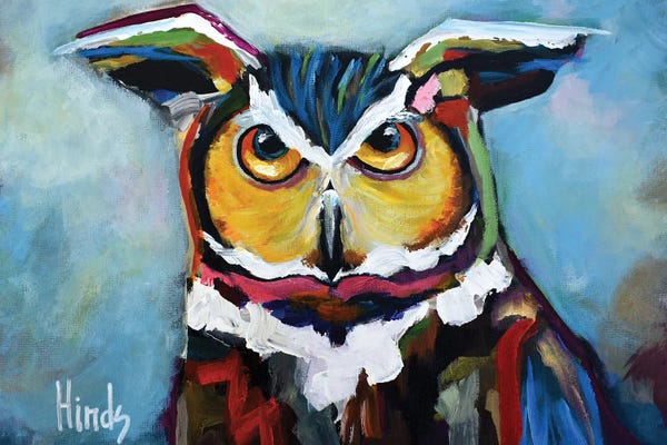 David Hinds: Mr Owl by David Hinds