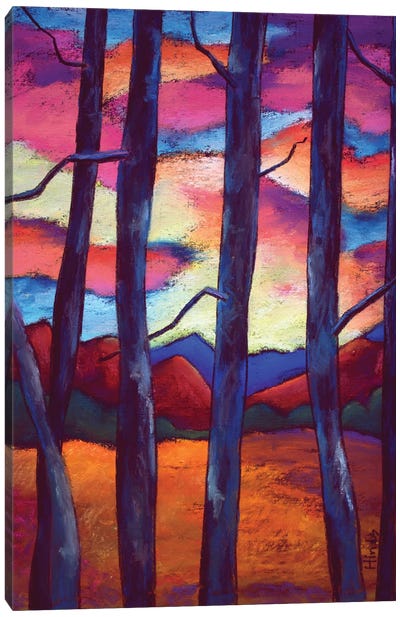 Through The Trees Canvas Art Print - David Hinds