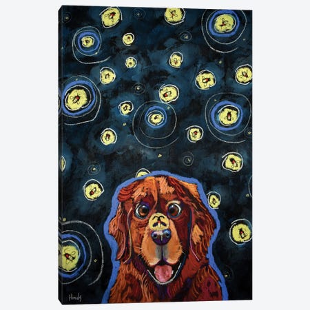 Ziggy And The Fireflies Canvas Print #DHD166} by David Hinds Art Print