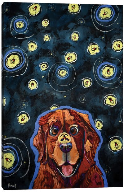 Ziggy And The Fireflies Canvas Art Print - Firefly Art