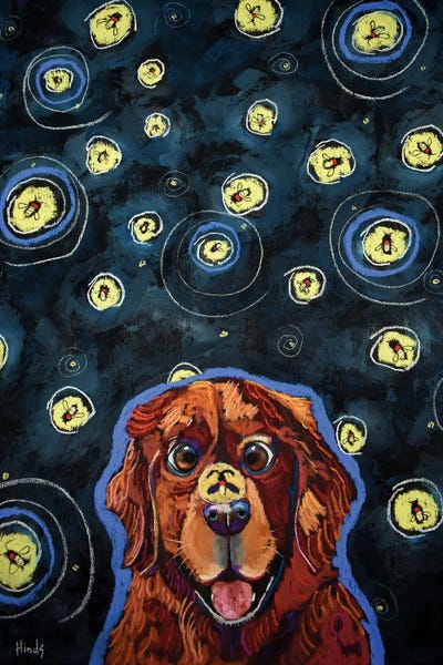 Fireflies: Ziggy And The Fireflies by David Hinds